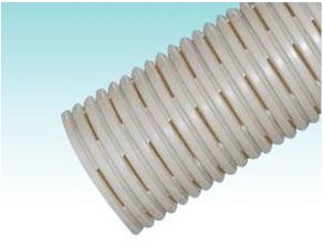 冠縣體育局康振彪照片